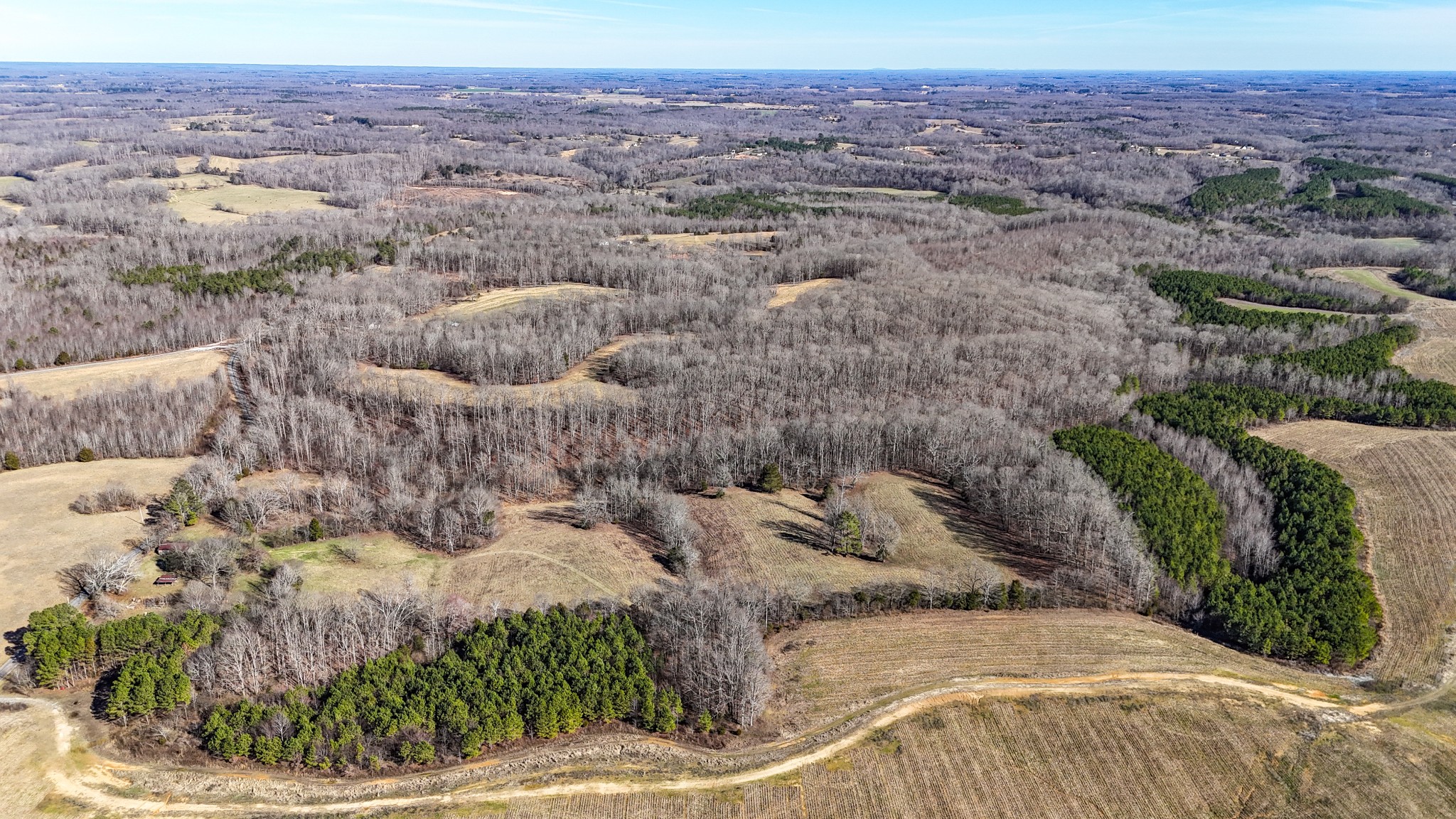 197 State Line Road St. Joseph, TN 38481 - Photo 11 of 13