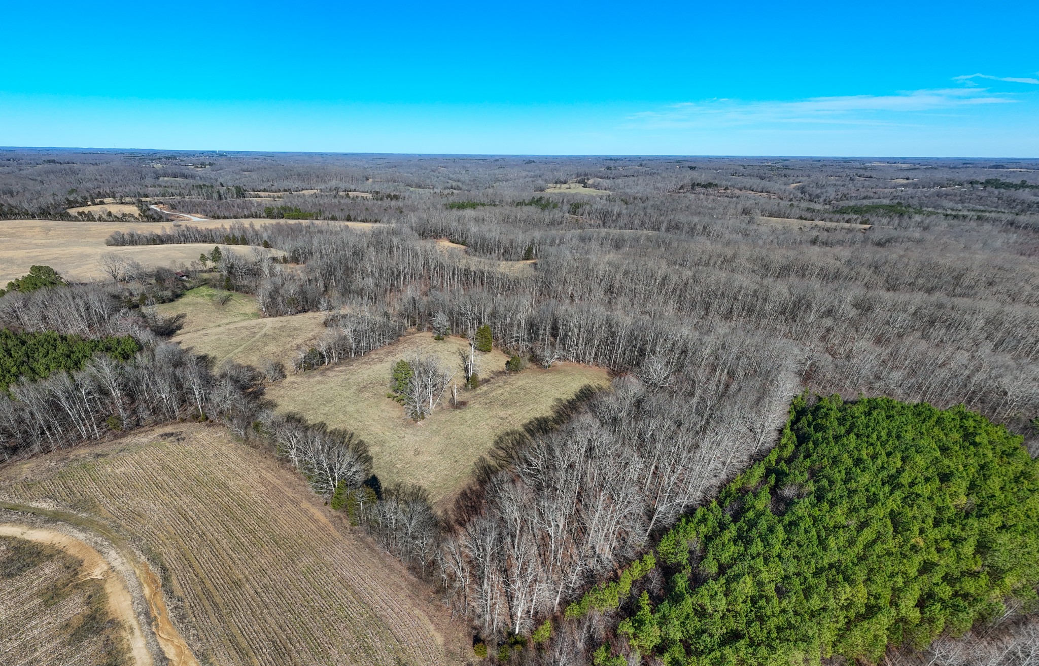 197 State Line Road St. Joseph, TN 38481 - Photo 13 of 13