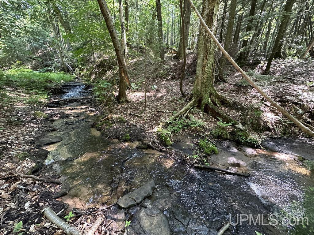 0 Cemetery Road Munising, MI 49862 - Photo 33 of 34 Gallery Image 33