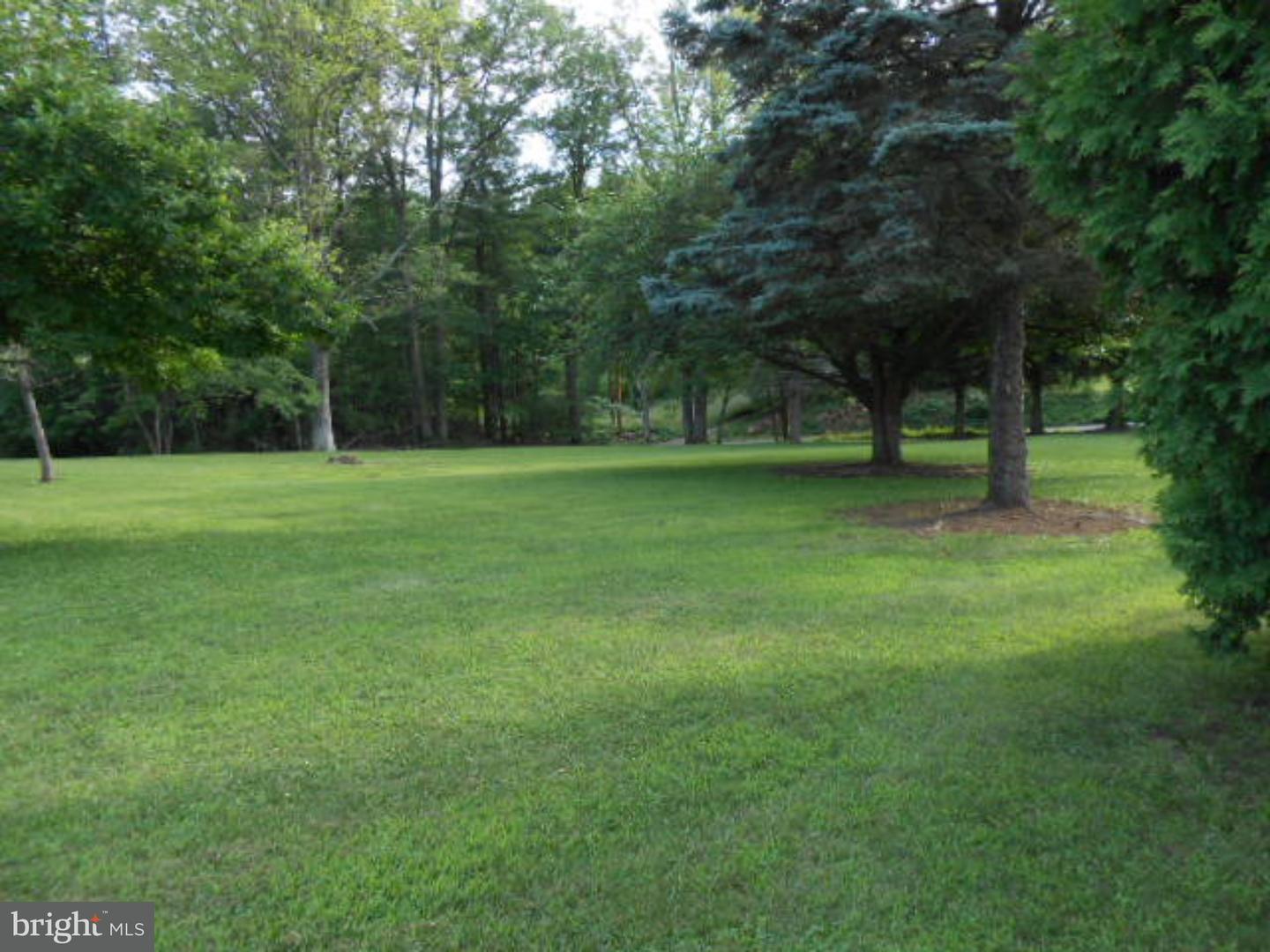 10 Moonshine Road Pine Grove, PA 17963 - Photo 3 of 10 Gallery Image 3