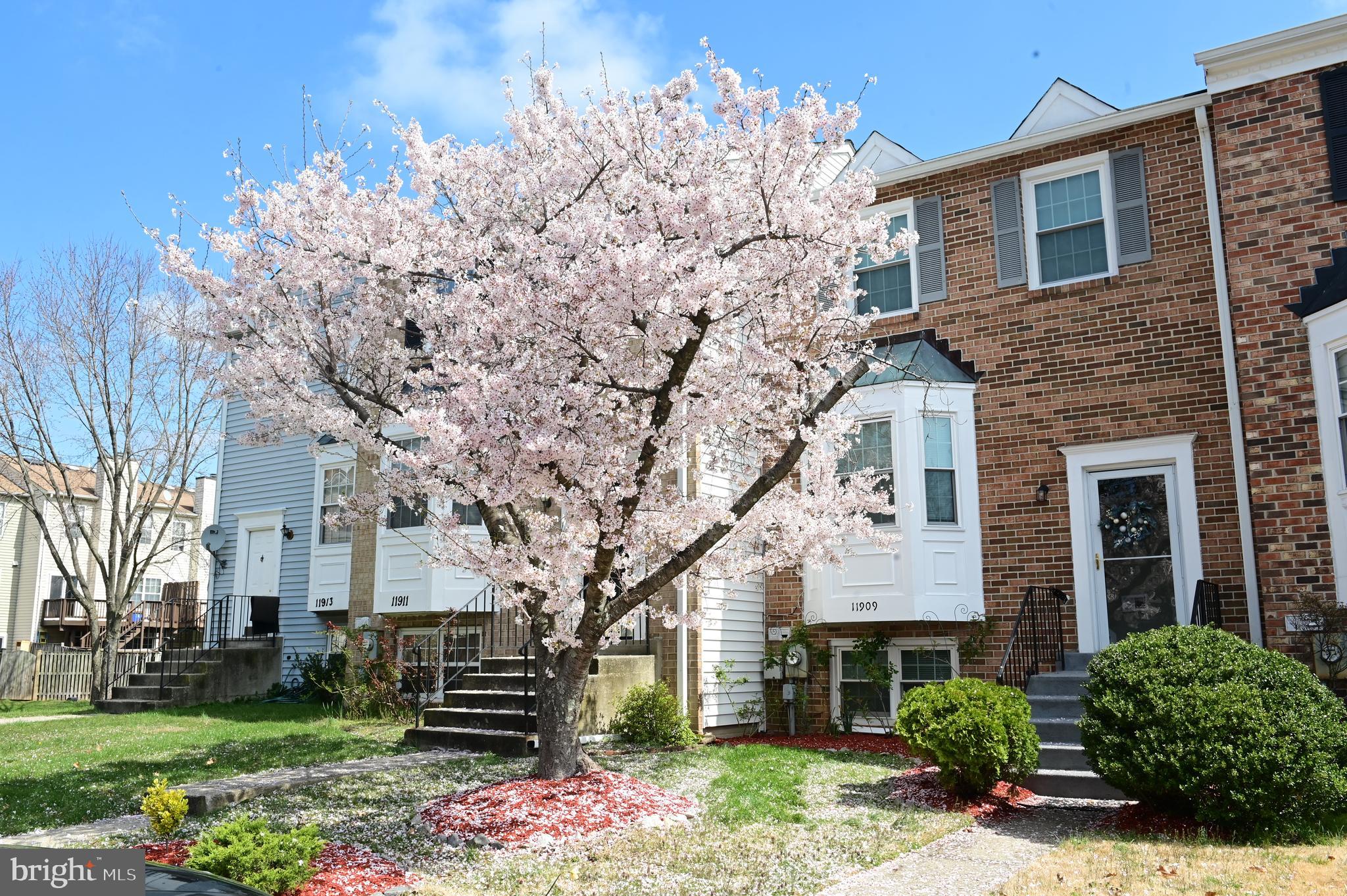 11909 Rumsfeld Terrace Silver Spring, MD 20904 - Photo 1 of 127 Gallery Image 1