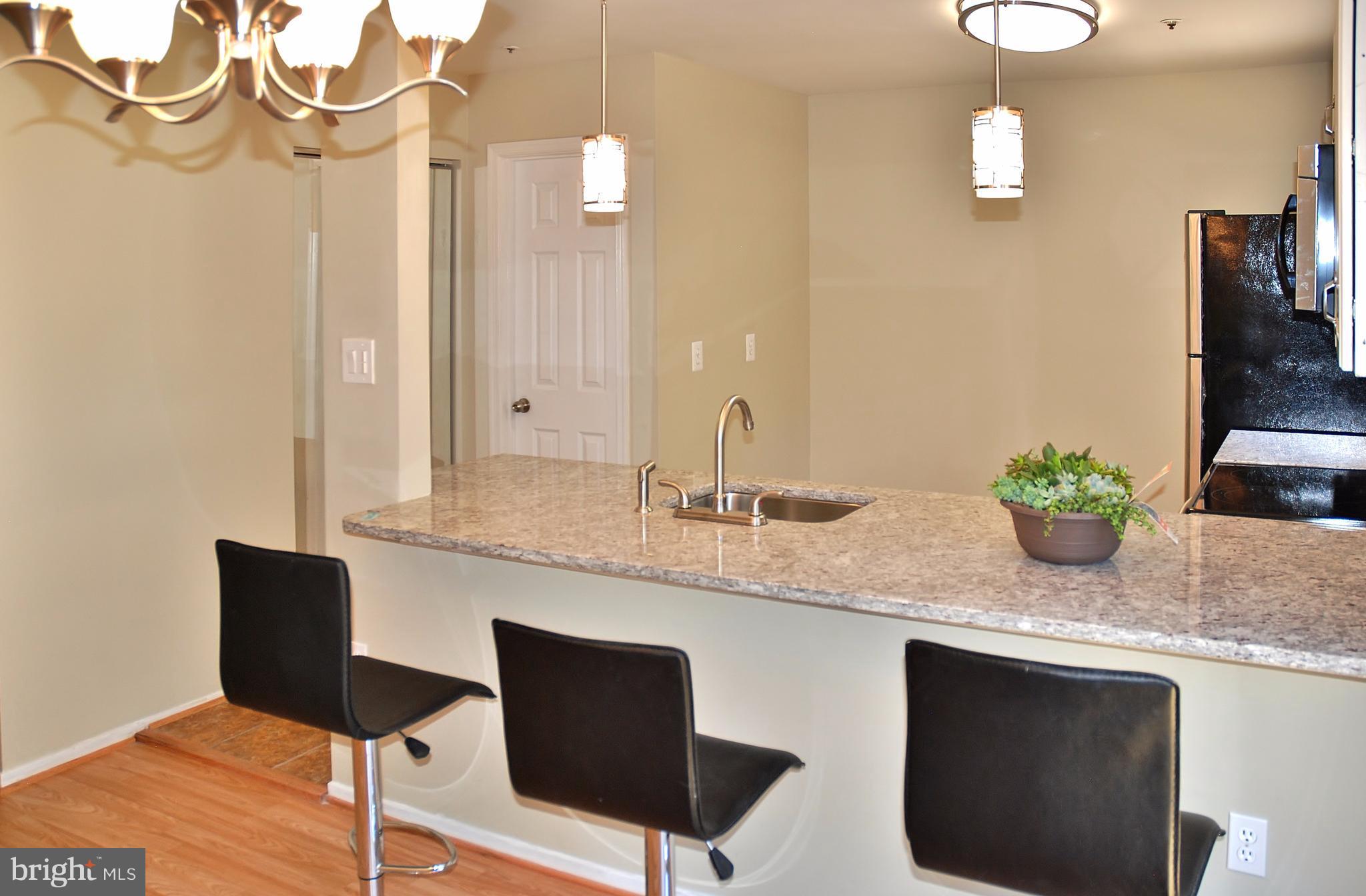 11909 Rumsfeld Terrace Silver Spring, MD 20904 - Photo 11 of 127 View