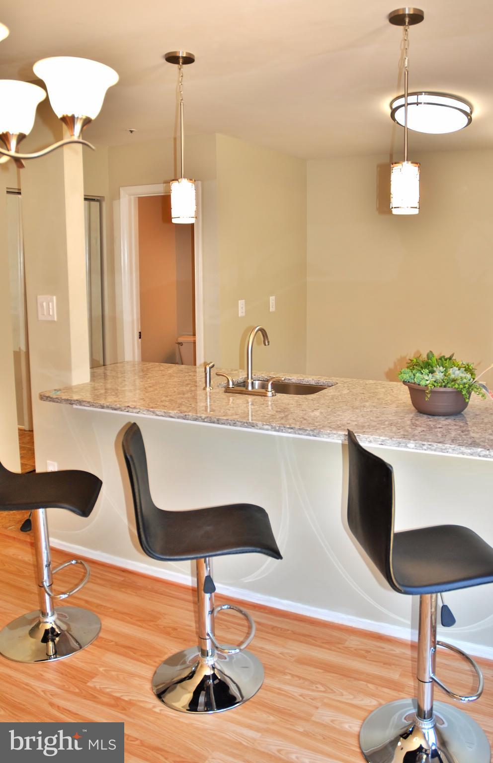 11909 Rumsfeld Terrace Silver Spring, MD 20904 - Photo 10 of 127 View