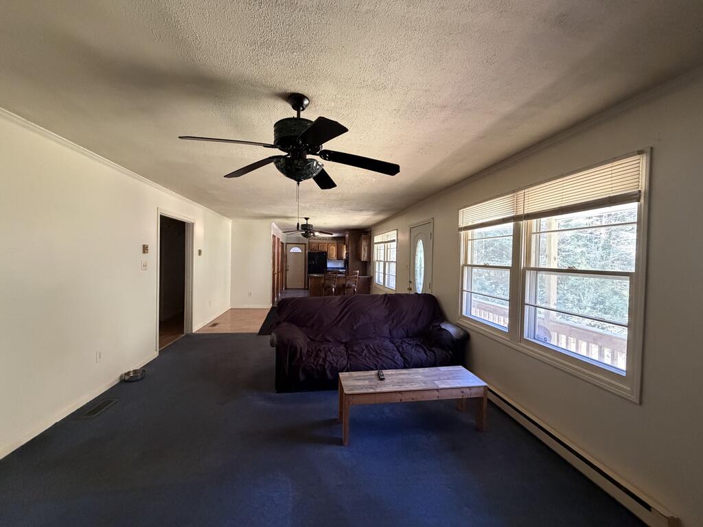 369 Trace Fork Road Chapmanville, WV 25508 - Photo 15 of 41 Gallery Image 15