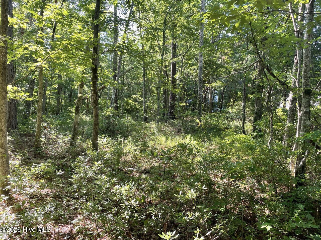 126 Deer Trail Beaufort, NC 28516 - Photo 17 of 27 IMG_4771 Large