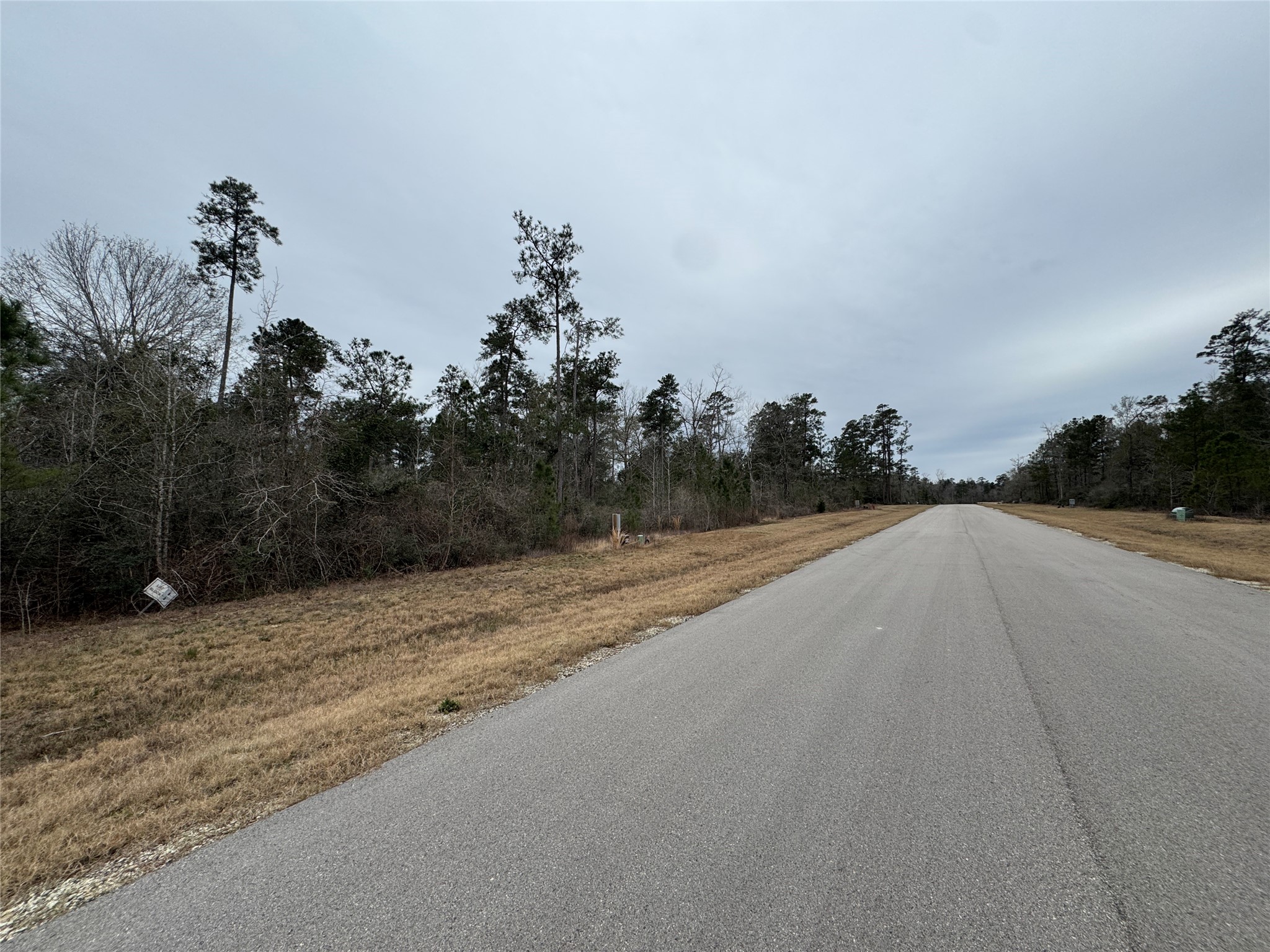 350 Iron Horse Road Willis, TX 77378 - Photo 14 of 21 a view of a terrace space