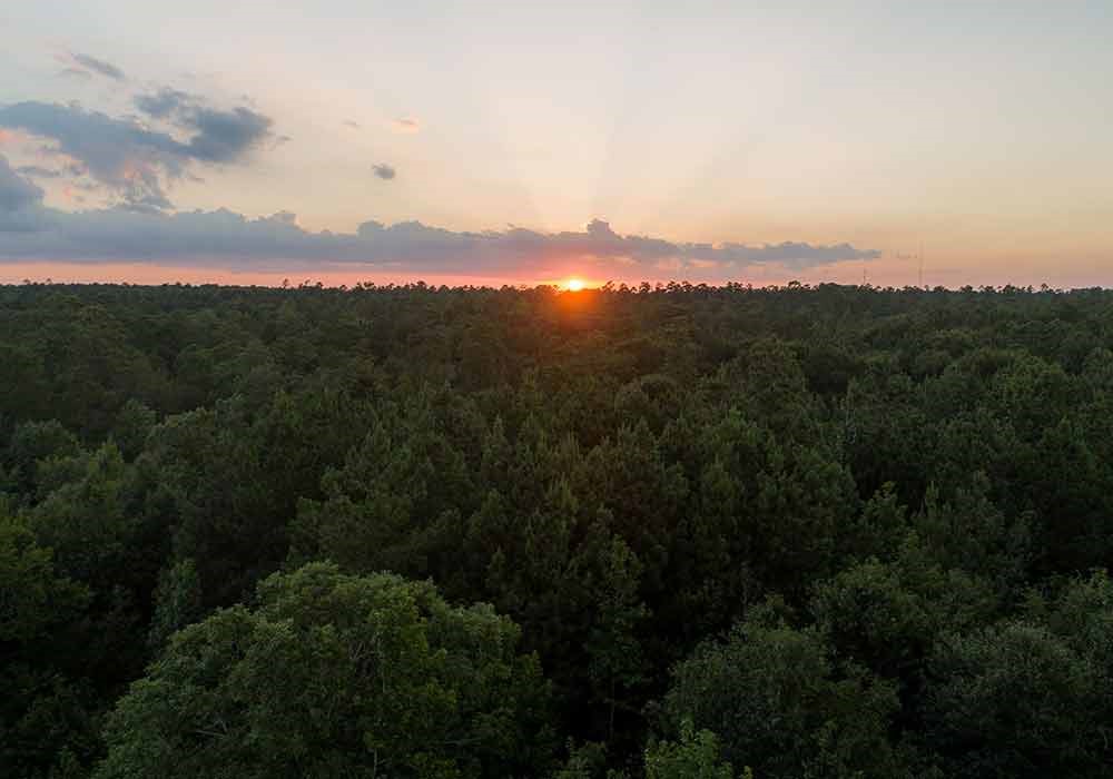 350 Iron Horse Road Willis, TX 77378 - Photo 20 of 21 a view of a city and mountain