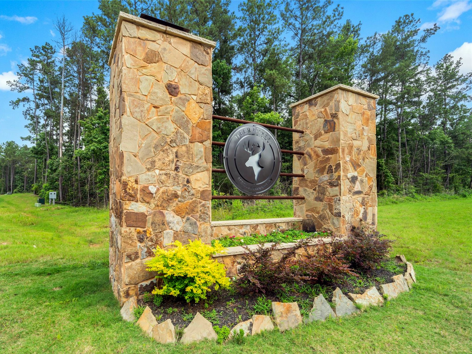350 Iron Horse Road Willis, TX 77378 - Photo 6 of 21 a backyard of a house with lots of green space