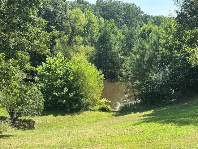 a view of a green filed