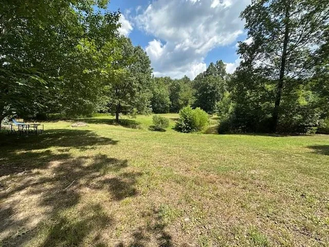 a view of a lush green space