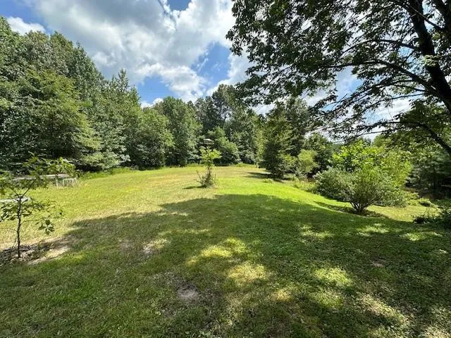 a view of a forest with trees in the background
