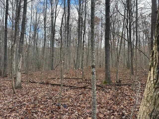 10 Prater Road Pikeville, TN 37367 - Photo 25 of 30 Gallery Image 25