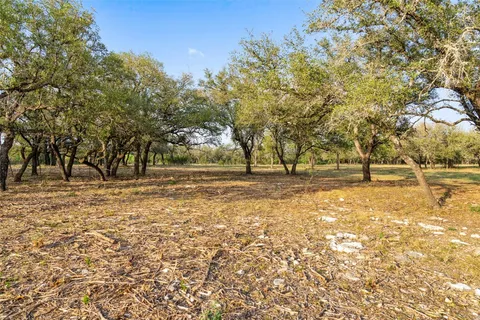 a view of yard with trees