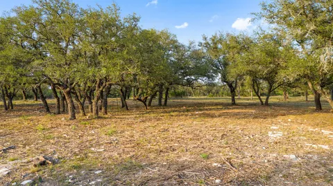 a view of yard with trees