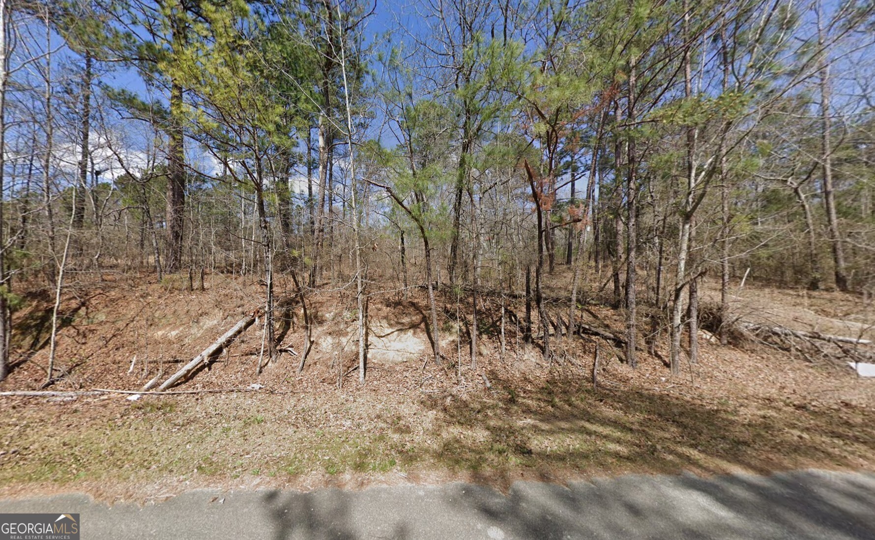 511 Beaver Drive Byron, GA 31008 - Photo 2 of 5 a view of backyard of a house