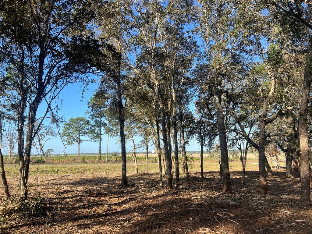 Levy Street Williston, FL 32696 - Photo 13 of 26