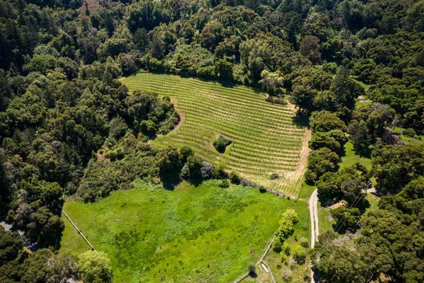$15,500,000 | 5660 Alpine Road, Portola Valley, CA 94028