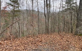 L771 Naomi Court Ranger, GA 30734 - Photo 3 of 4 Additional View
