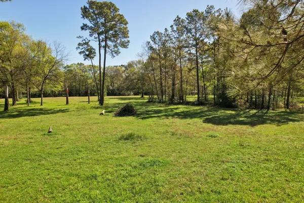 a view of a yard with trees