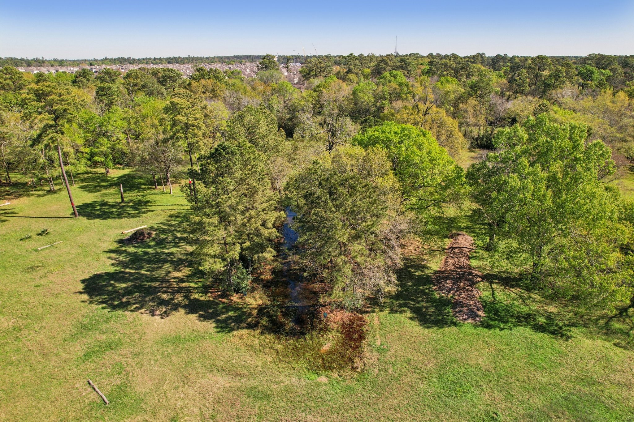 4610 Sloangate Drive Spring, TX 77373 - Photo 15 of 48 Wooded areas and meadow.