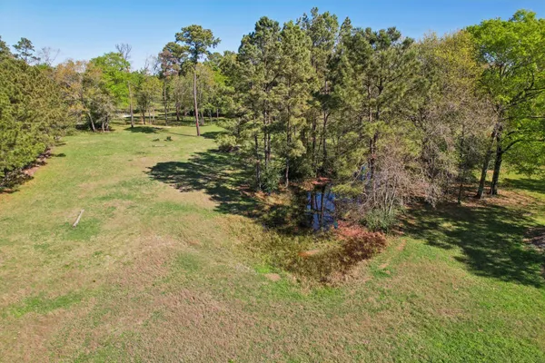 a view of a yard with a tree