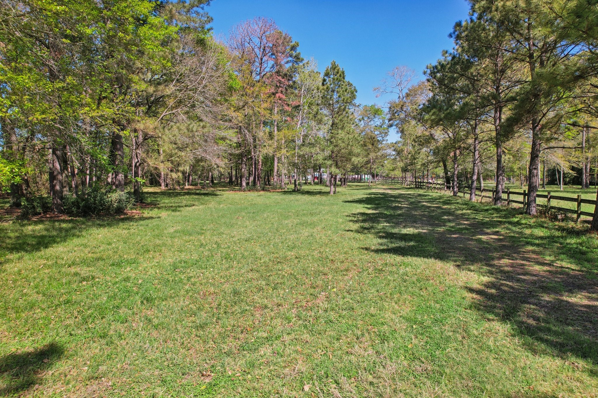 4610 Sloangate Drive Spring, TX 77373 - Photo 2 of 48 Land has been beautifully maintained.
