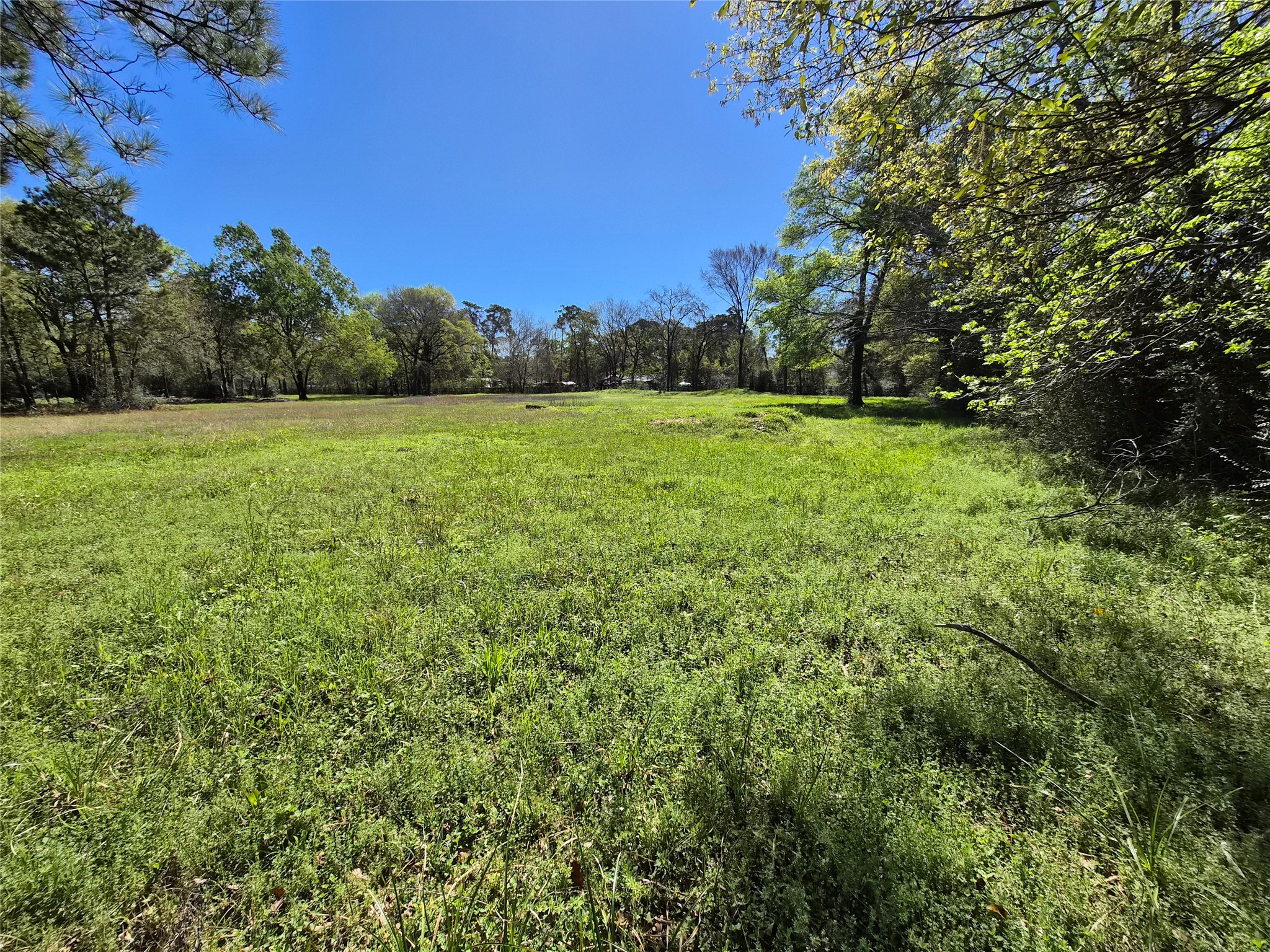 4610 Sloangate Drive Spring, TX 77373 - Photo 21 of 48