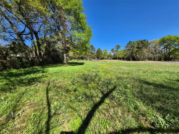 a view of a grassy field with trees in the background
