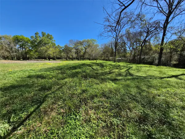 a view of a field with a tree