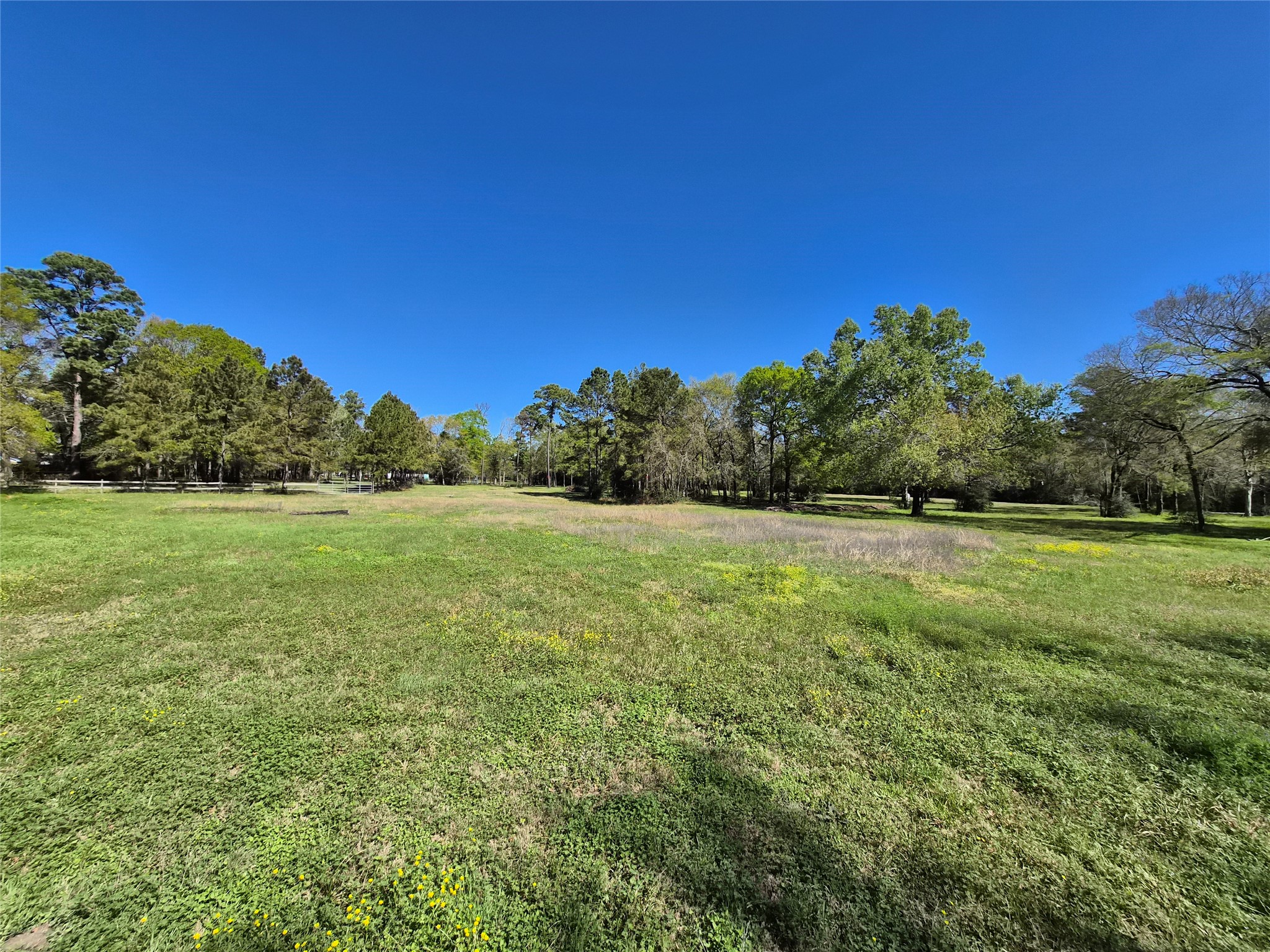 4610 Sloangate Drive Spring, TX 77373 - Photo 26 of 48