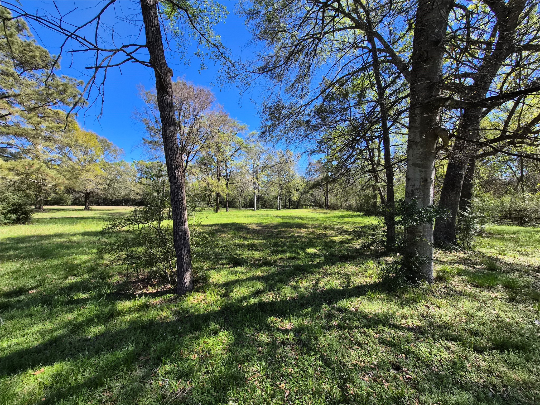 4610 Sloangate Drive Spring, TX 77373 - Photo 27 of 48