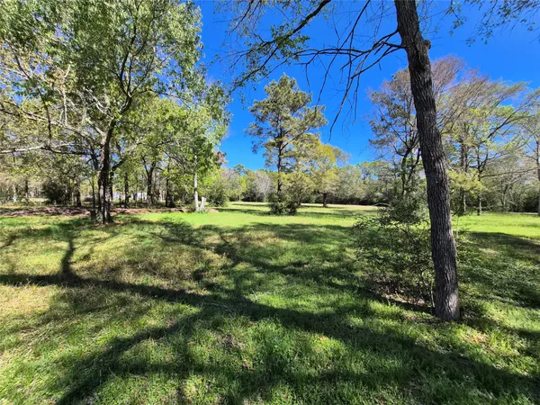 a view of yard with tree and green space