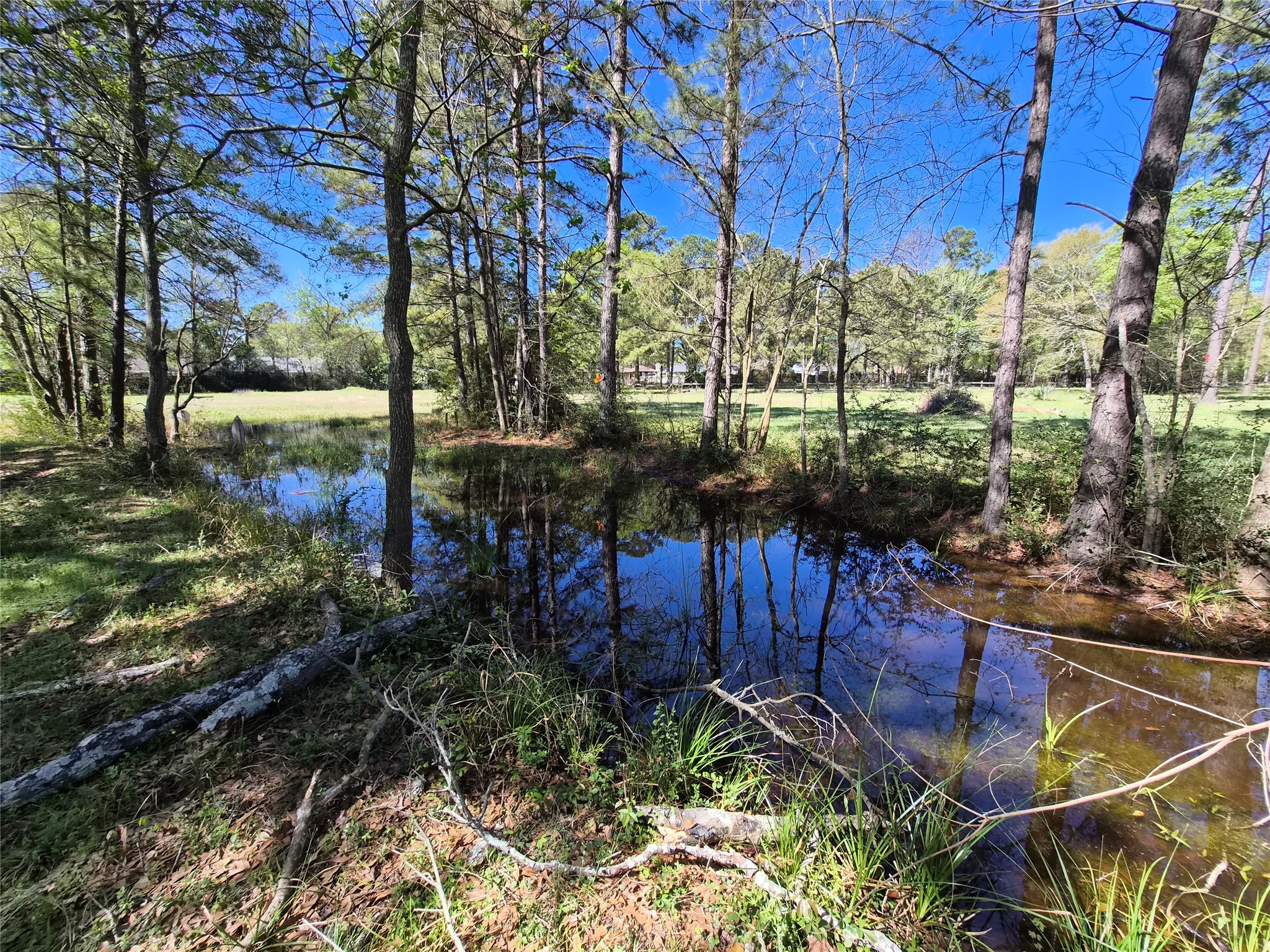 4610 Sloangate Drive Spring, TX 77373 - Photo 29 of 48