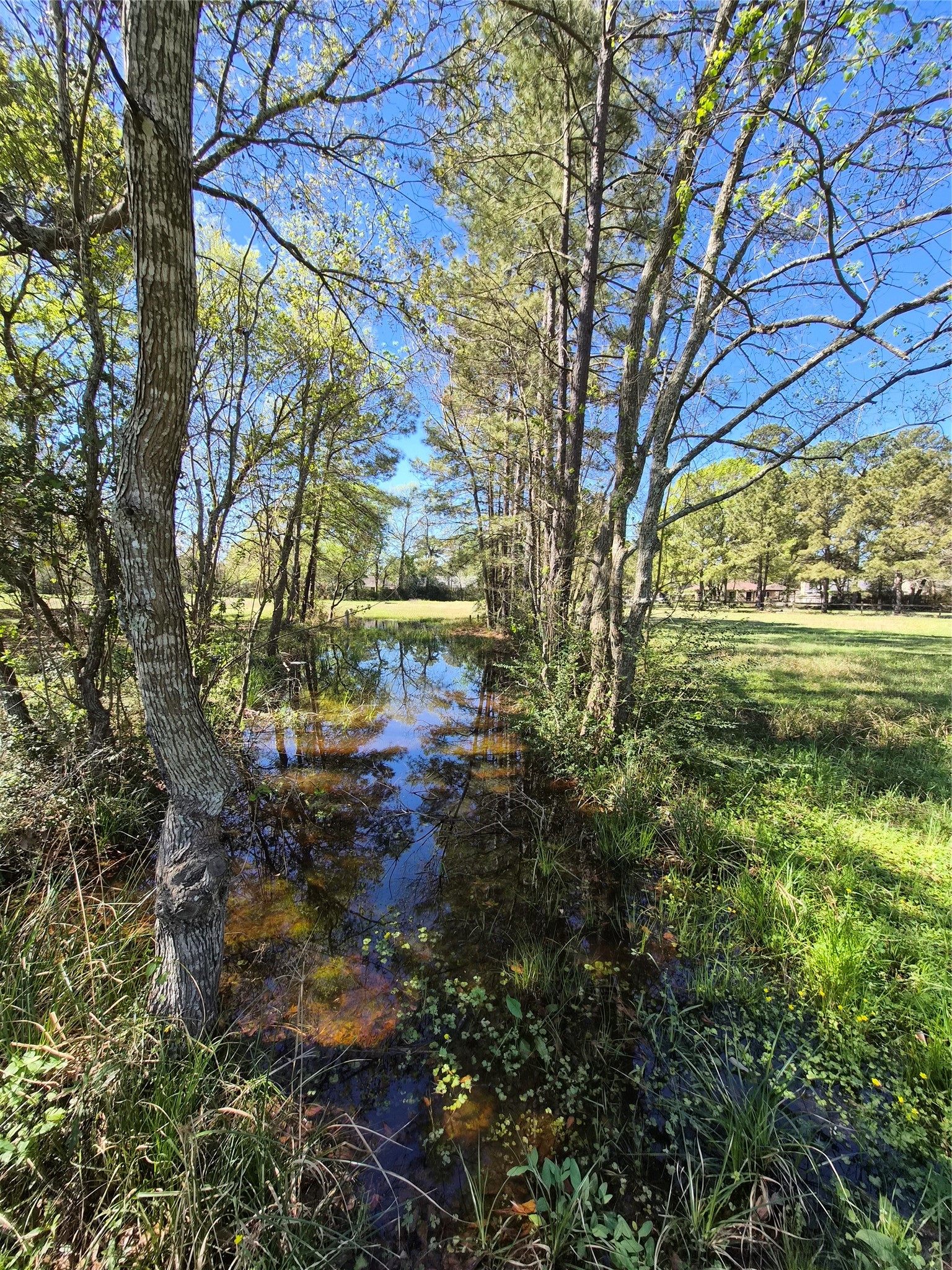 4610 Sloangate Drive Spring, TX 77373 - Photo 30 of 48