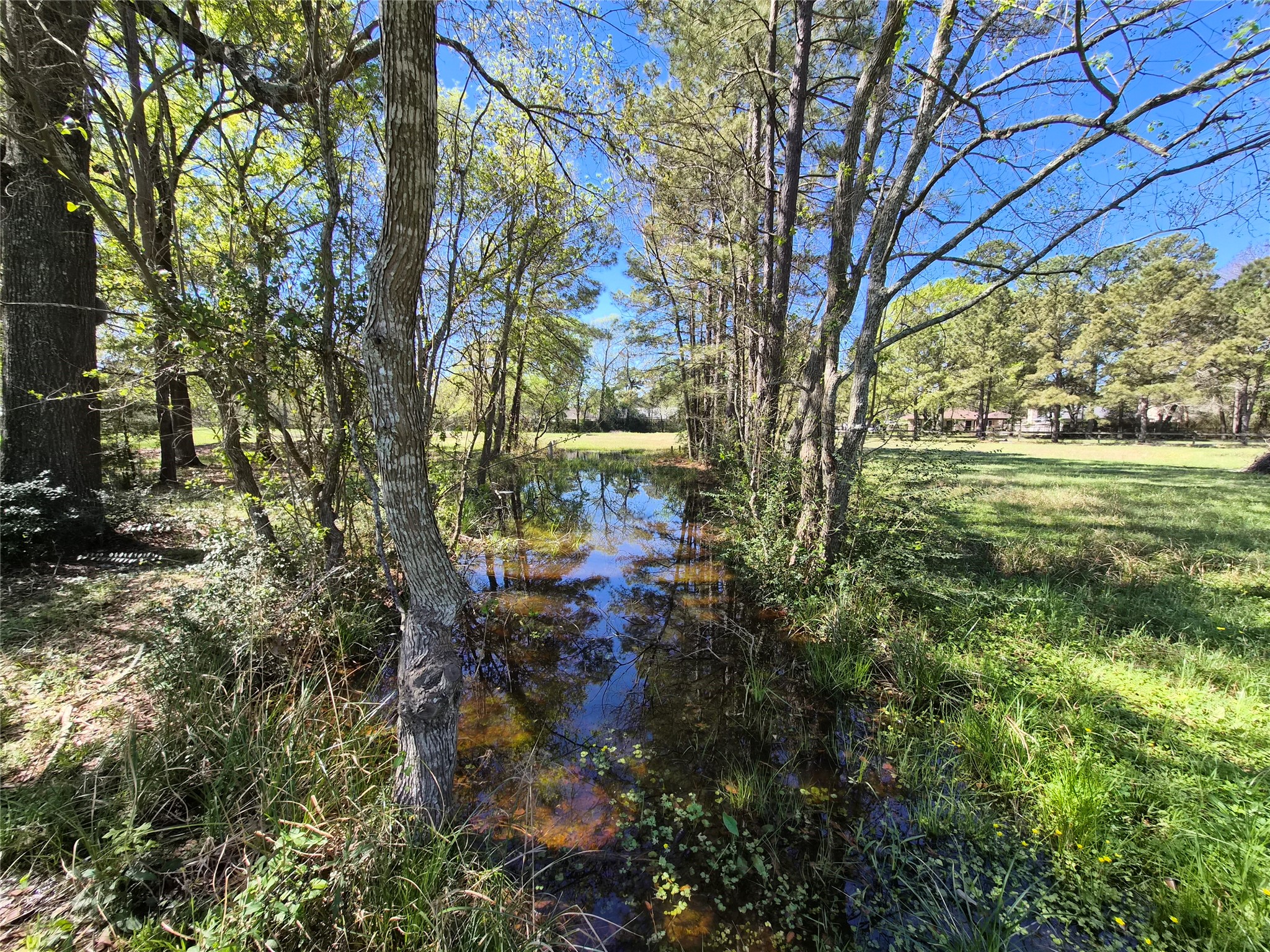 4610 Sloangate Drive Spring, TX 77373 - Photo 31 of 48