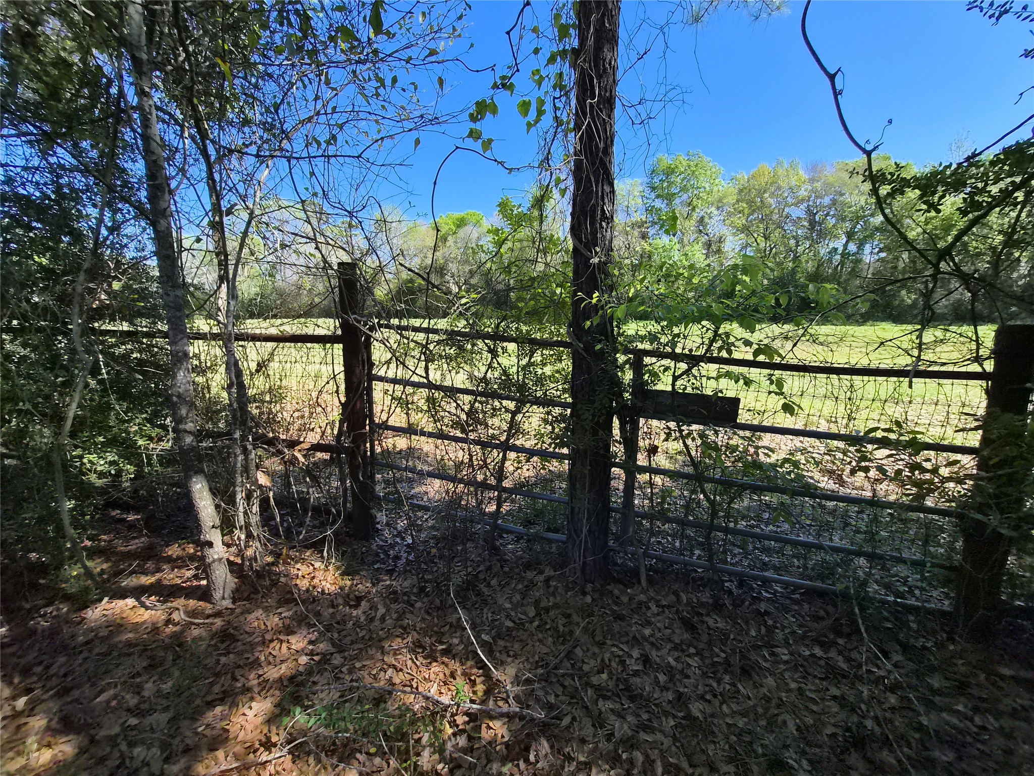 4610 Sloangate Drive Spring, TX 77373 - Photo 33 of 48