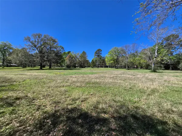 a view of outdoor space with trees