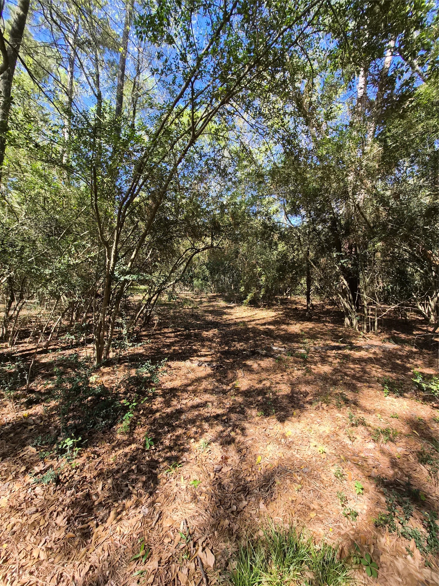 4610 Sloangate Drive Spring, TX 77373 - Photo 36 of 48