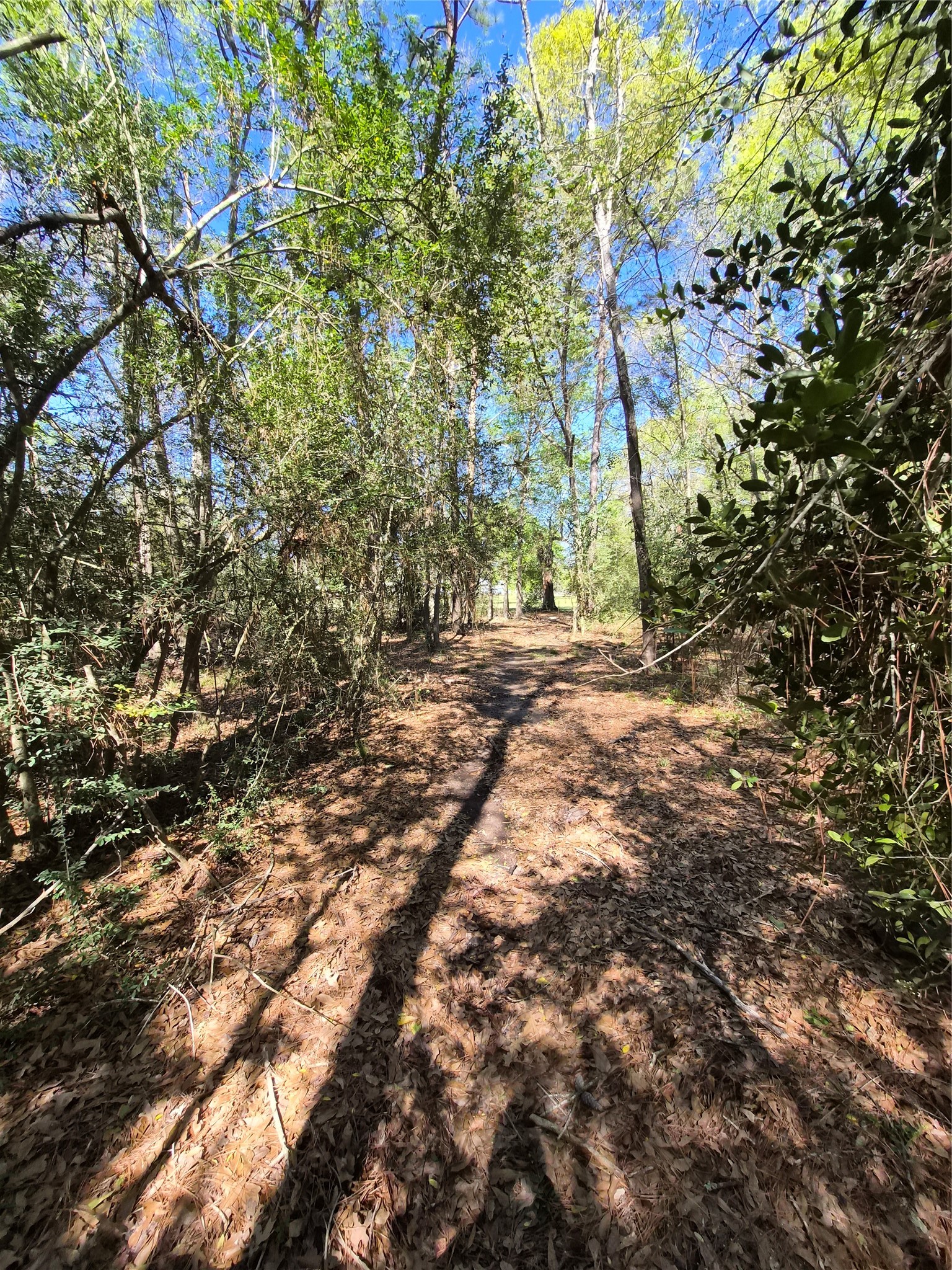 4610 Sloangate Drive Spring, TX 77373 - Photo 38 of 48