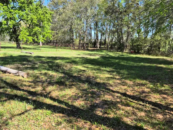 a view of a park with large trees