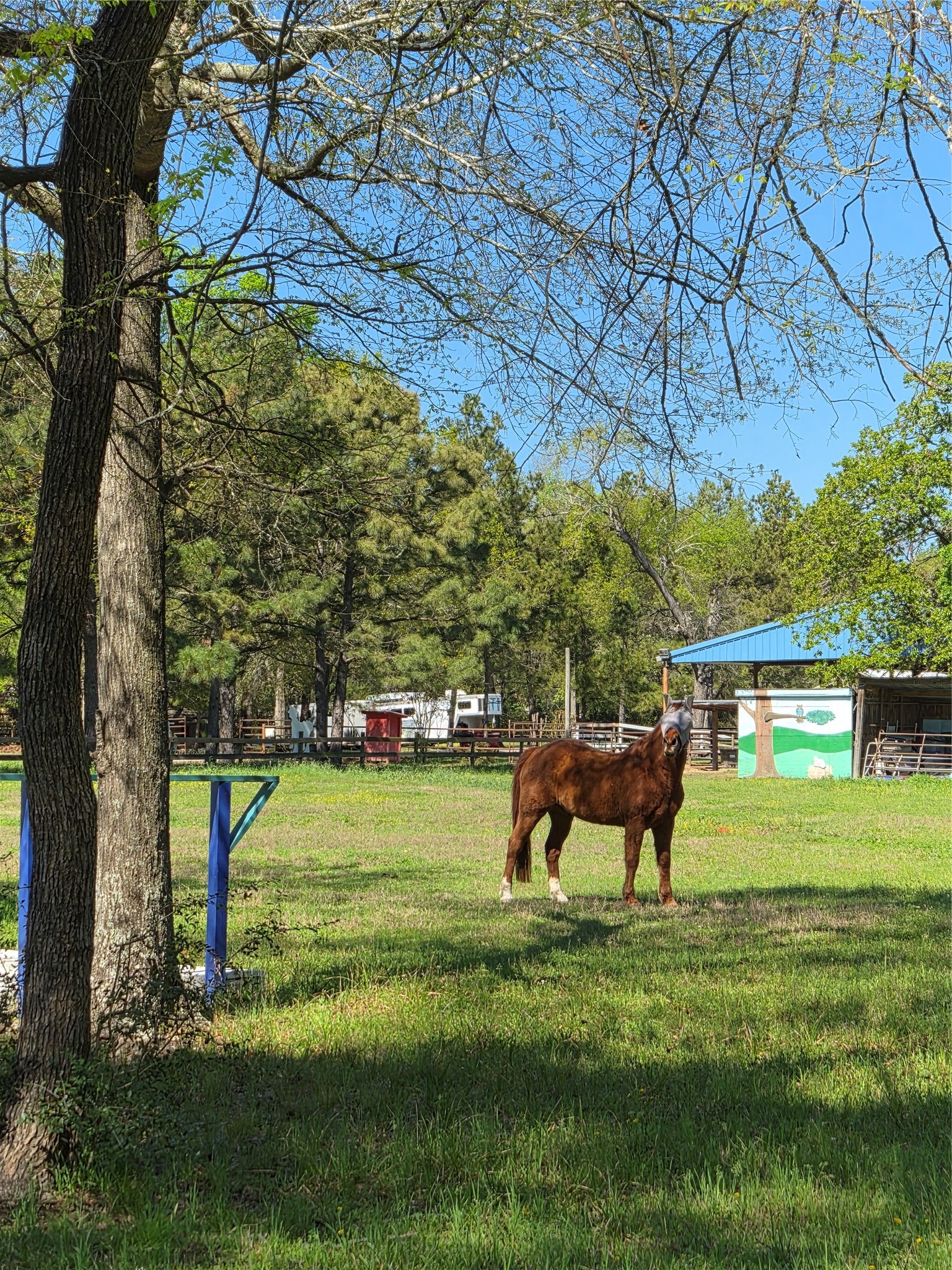 4610 Sloangate Drive Spring, TX 77373 - Photo 43 of 48