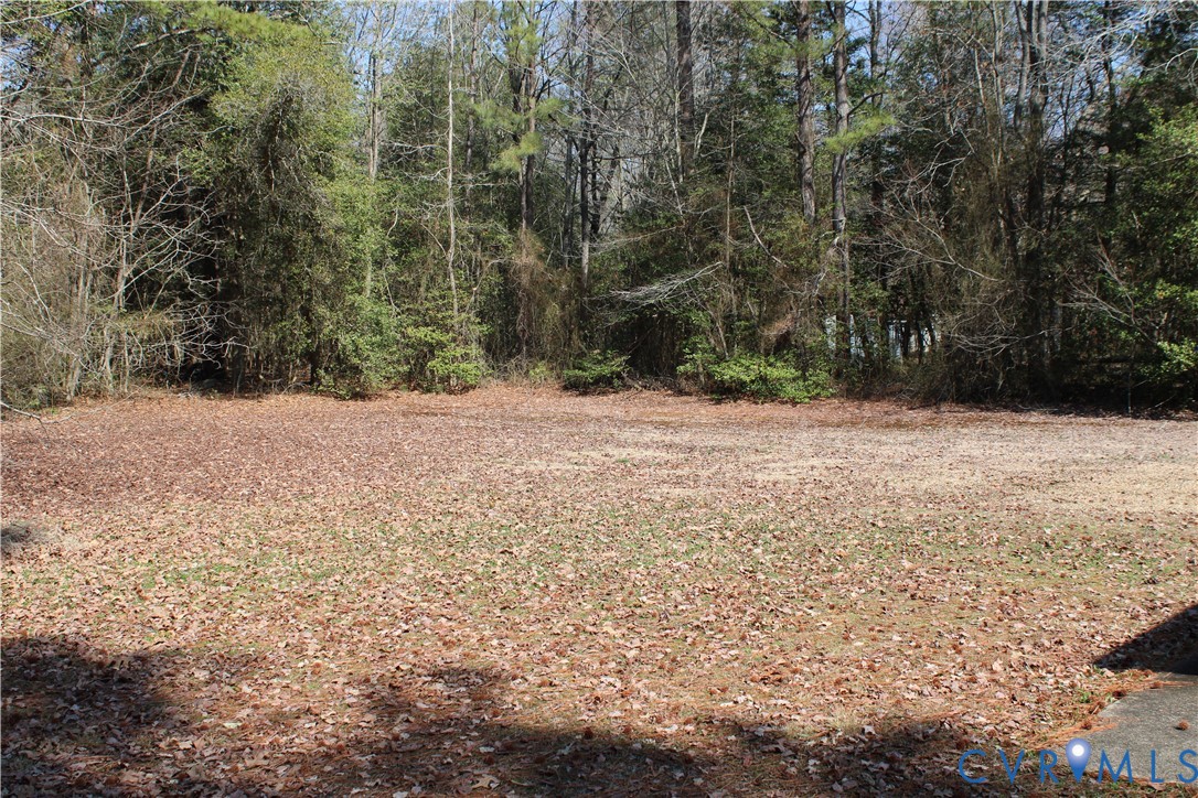 7421 Adkins Road Charles City, VA 23030 - Photo 14 of 14 a view of a yard with trees