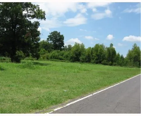 $69,000 | 3 Mac Arthur & Gene Ball Drive, Alexandria, LA 71302