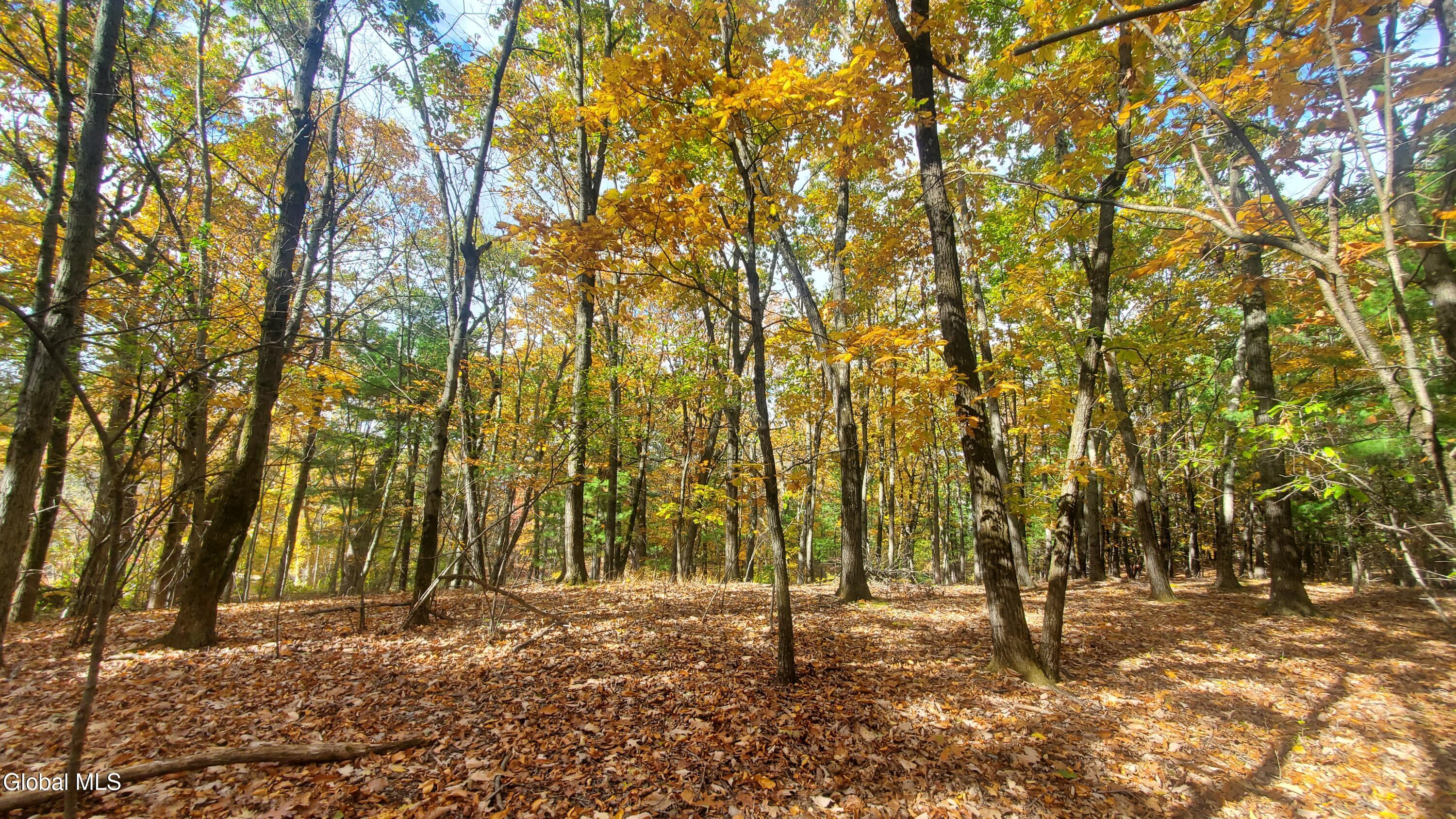 L25 Fischer Road Kinderhook, NY 12106 - Photo 5 of 30 8 ACRES