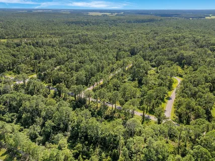an aerial view of residential houses with outdoor space and trees