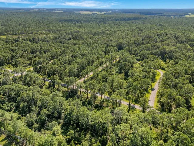 an aerial view of residential houses with outdoor space and trees