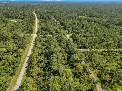 a view of a big yard with lots of bushes