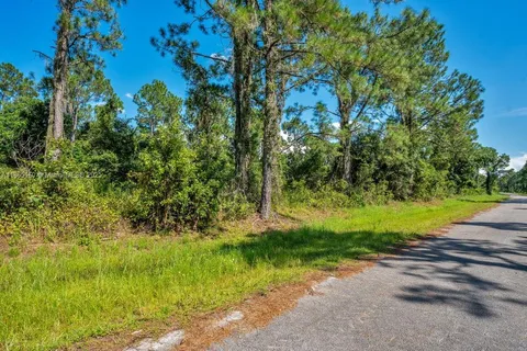 a view of a street with a tree