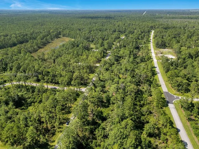 a view of a green field with lots of bushes