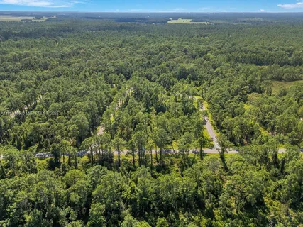 a view of a yard with an outdoor and trees